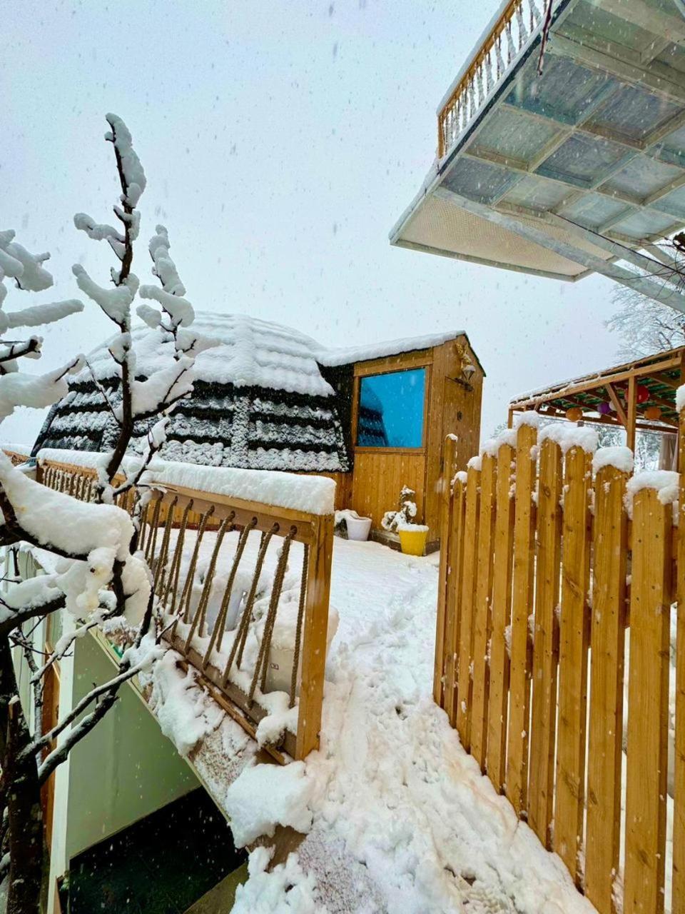 Infinity Sky Glamps Hotel Manali  Ngoại thất bức ảnh